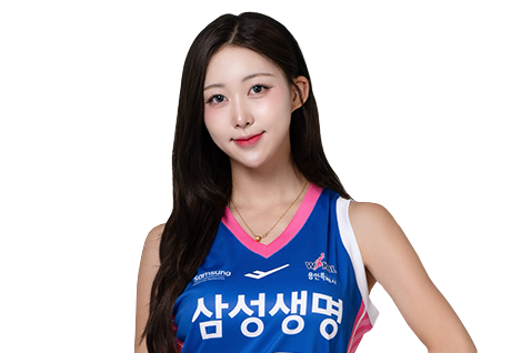 치어리더 진수화